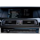 FISCON Pro für BMW F-Serie, Kodier-Interface (mit USB/schwarz)